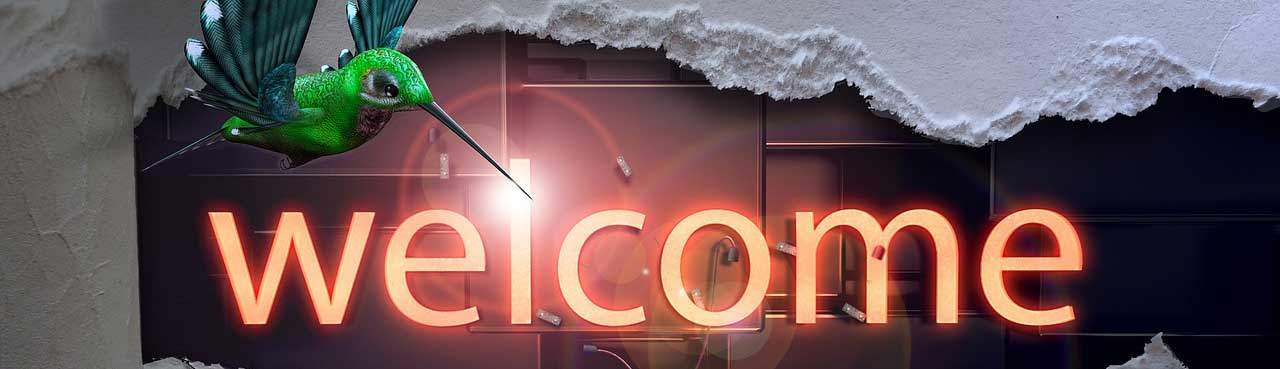 Welcome to ng53.com